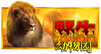 野生动物园